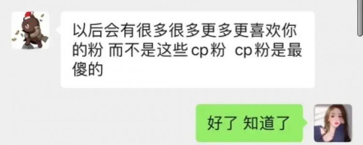 cp到底是什么意思