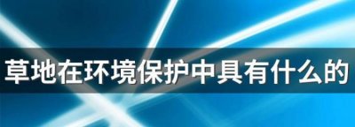 ​草地在环境保护中具有什么的重要作用,草地在环境保护中具有怎样的重要作用?