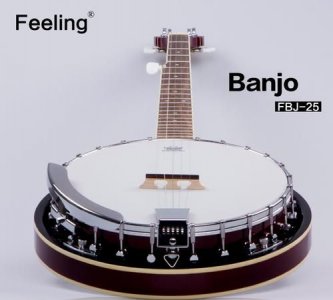 ​banjo是什么乐器,班卓琴是什么乐器