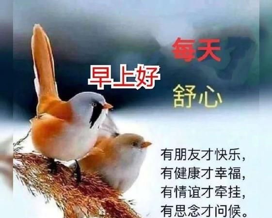 亲爱的早上好暖心话