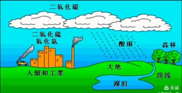 酸雨的主要成分：酸雨的主要成分