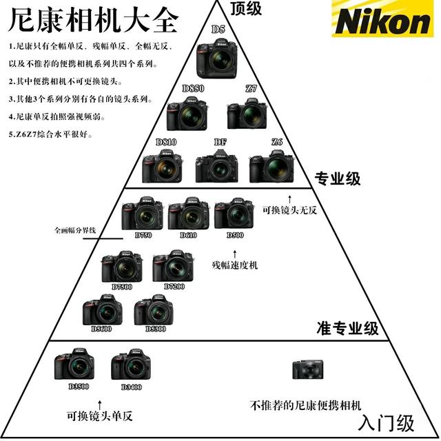 新手入门摄影买哪款相机比较好（4大品牌相机选哪个）(2)