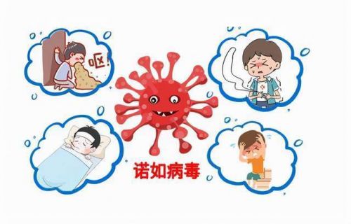 若如病毒的主要症状是什么?(幼儿诺如病毒的主要症状)-第1张图片-