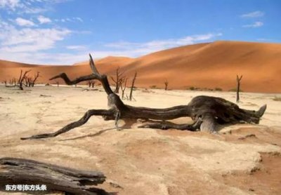 ​死亡沙漠在哪个地方（死亡沙漠介绍）