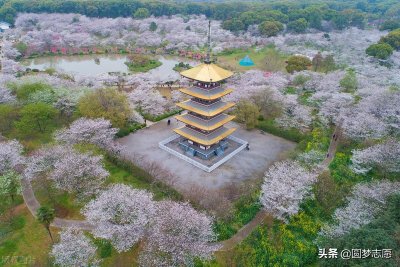 ​华中科技大学和武汉大学谁更好（华中科技大学与武汉大学哪个好）