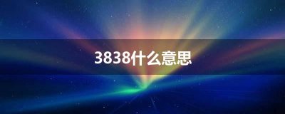 ​3838什么意思