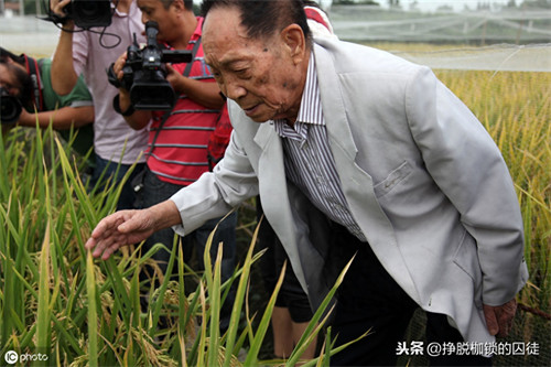 近亲繁殖的危害(为什么不能近亲繁殖)