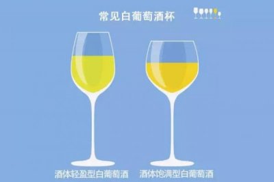 ​白葡萄酒杯容量为多少(白葡萄酒杯整体高度比红葡萄酒杯高)