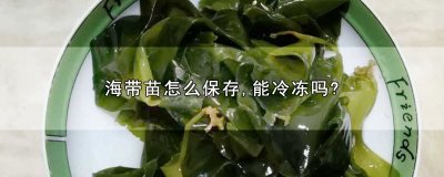 ​海带苗怎么保存，能冷冻吗?