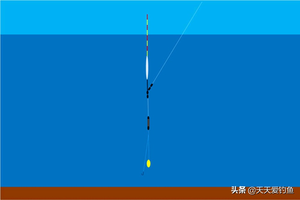 手竿鲢鳙怎么调漂视频教程户外老曹（手竿钓鲢鳙怎么调漂教学）