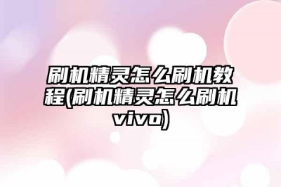 ​刷机精灵怎么刷机教程(刷机精灵怎么刷机vivo)