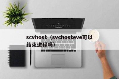 ​scvhost（svchosteve可以结束进程吗）