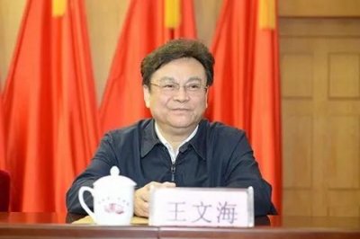 ​河南司法厅原厅长王文海被查，曾被洛阳多名警官举报干扰特大文物案侦破