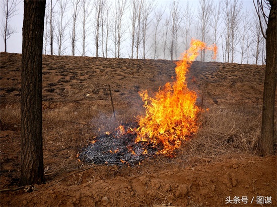 8张充满了乡愁的图片，哪一张让你想起了自己的家乡？