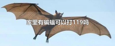 ​家里有一只蝙蝠可以打119吗 家里进蝙蝠可以打119么