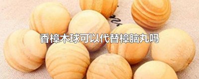 ​樟脑丸和樟木球哪个效果好 樟脑丸和樟木球哪个好用