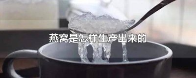 ​燕窝是怎么生产出来的? 燕窝到底是什么东西做成的