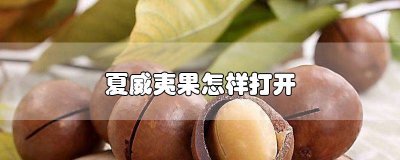 ​夏威夷果如何打开? 夏威夷果怎么样打开