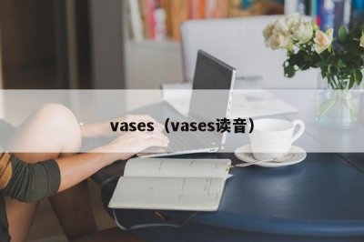 ​vases（vases读音）