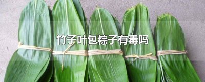 ​芦竹叶子包粽子有毒吗视频 芦竹的叶子可以包粽子吗