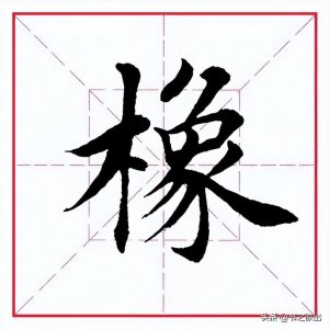 ​每日一字：橡怎么读