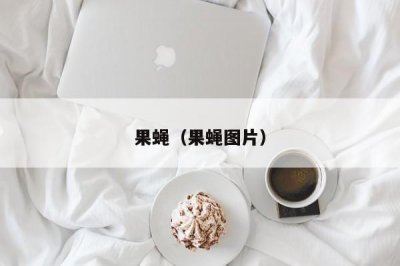 ​果蝇（果蝇图片）