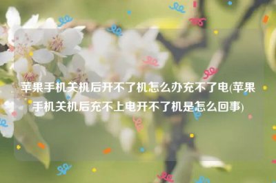 ​苹果手机关机后开不了机怎么办充不了电(苹果手机关机后充不上电开不了机是怎么