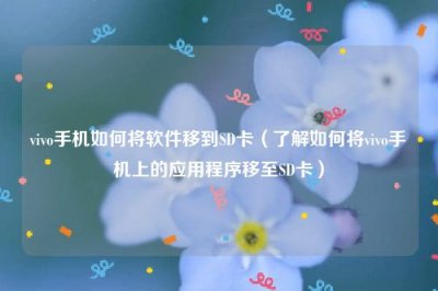 ​vivo手机如何将软件移到SD卡（了解如何将vivo手机上的应用程序移至SD卡）