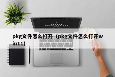 ​pkg文件怎么打开（pkg文件怎么打开win11）