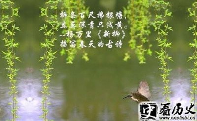 ​杨万里的诗有什么特点