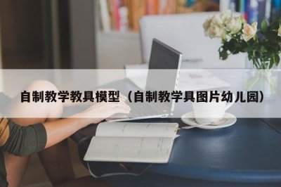 ​自制教学教具模型（自制教学具图片幼儿园）