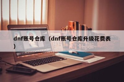 ​dnf账号仓库（dnf账号仓库升级花费表）