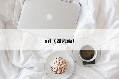 ​sil（四六级）