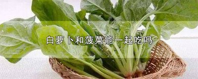 ​白萝卜和菠菜能一起吃吗还有油菜 白萝卜和菠菜能一起吃吗宝宝