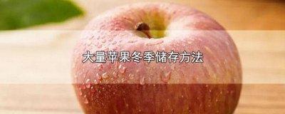 ​苹果过冬储存方法 苹果冬天储存方法