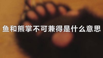 ​鱼与熊掌不可兼得的由来 鱼和熊掌不可兼得的由来