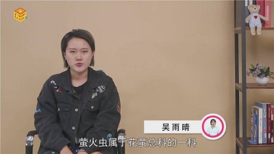 ​萤火虫是怎么吃东西的 萤火虫吃食物的具体方式