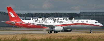 ​FM是哪个航空公司的航班 Fm是什么航空公司