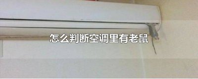 ​空调里面有老鼠会出来吗 空调里会不会有老鼠