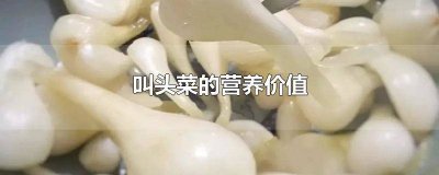 ​头菜的营养 菜头的营养价值及功效与作用