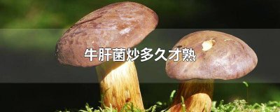 ​干的牛肝菌炒多久才熟 牛肝菌一般炒多久