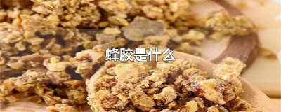 ​蜂胶 成分 蜂胶是什么