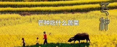 ​芒种适合种植什么蔬菜 芒种适合吃啥