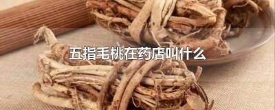 ​哪里有药厂收购五指毛桃 五指毛桃药店叫什么名字