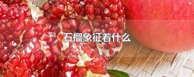 ​石榴象征的品质 石榴的品格是什么