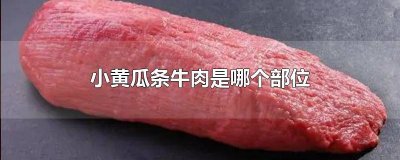 ​牛肉黄瓜条是什么部位 牛肉里的黄瓜条是哪个部位