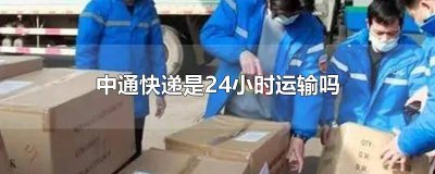 ​中通快递运单号查询追踪查 中通快递运单号查询官网