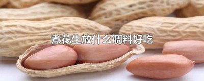 ​煮花生应该放什么调料 煮花生放什么佐料好