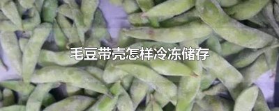 ​毛豆带壳怎么保存 带壳毛豆冷冻的最佳方法