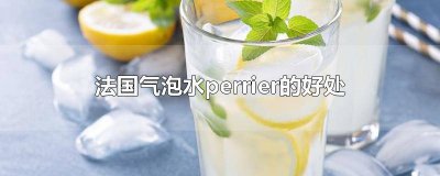 ​法国气泡水对身体好的吗 巴黎水(perrier)气泡矿泉水原味天然矿泉水